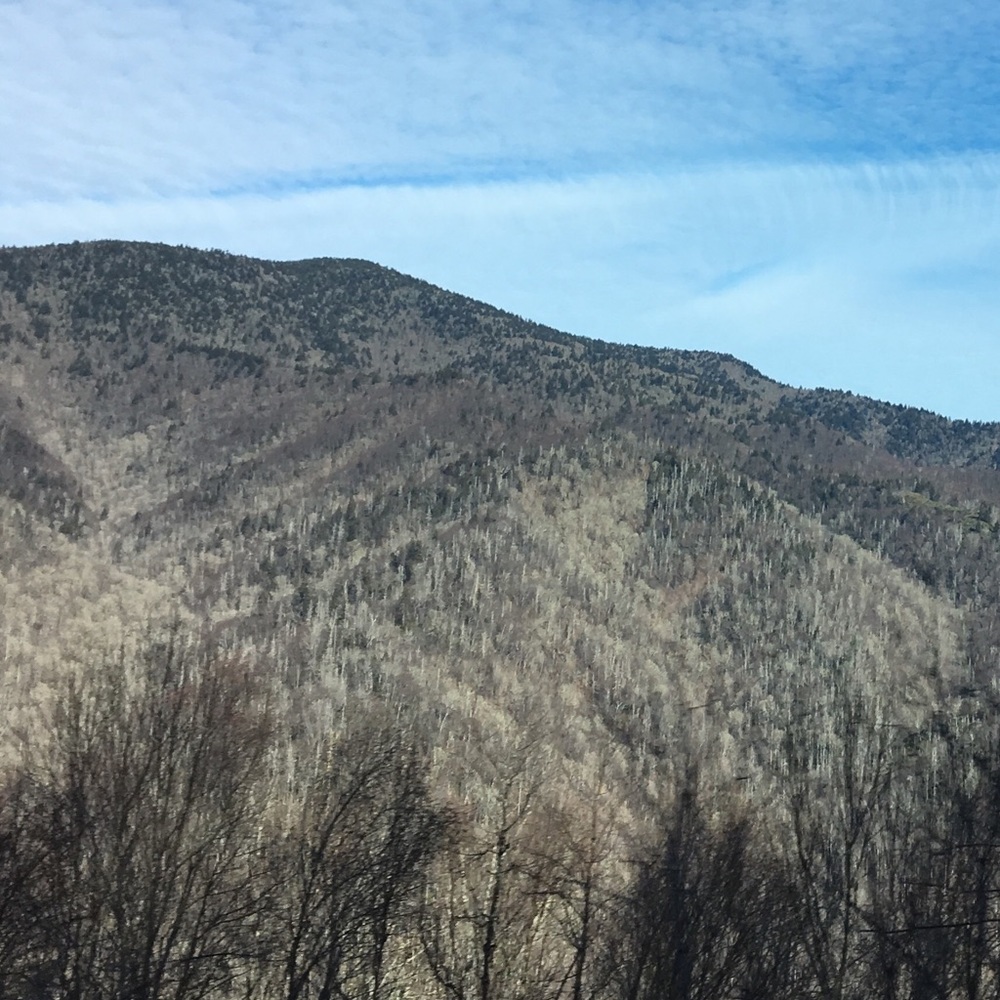 Meet your Posher, Ava